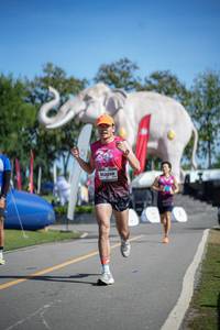 BIB: 
                            <button type="button" onclick="openModal(26542592)" class="btn btn-primary btn-sm float-right btn-popup" data-toggle="modal" data-target=".modal-high-quality">
                        <i class="fas fa-shopping-cart"></i> Add to Cart
                    </button>
                                            <button type="button" onclick="isThisMe(26542592, true)" class="btn btn-success btn-sm float-right btn-popup btn-isme hidden" data-toggle="tooltip" data-placement="bottom" title="นี่คือรูปของคุณใช่ไหม คลิกที่นี่เพื่อเอาเข้าอัลบั้ม">
                        <i class="fas fa-plus"></i> Add to album
                    </button>
                    <button type="button" onclick="isThisMe(26542592, false)" class="btn btn-warning btn-sm float-right btn-popup btn-isnotme hidden">
                        <i class="fas fa-ban"></i> Remove from album
                    </button>